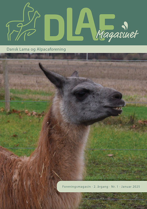 Forside-nr-1_2025