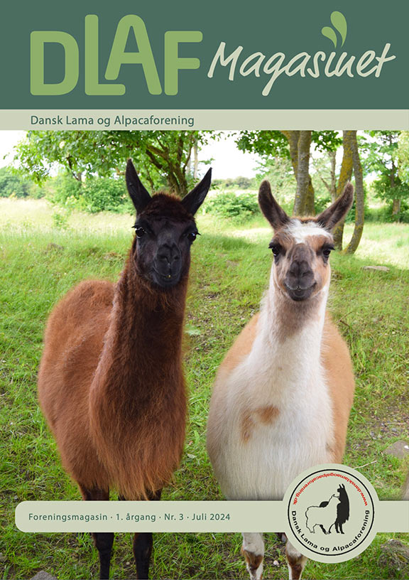 Forside-nr-3_2024