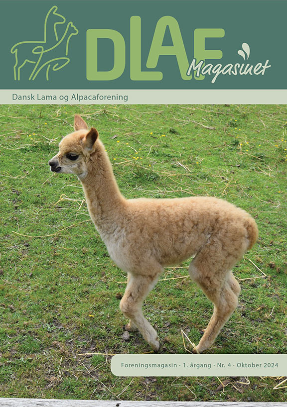 Forside-nr-4_2024