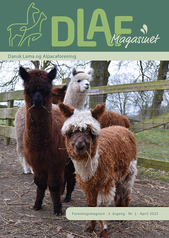 Forside-nr2_2025
