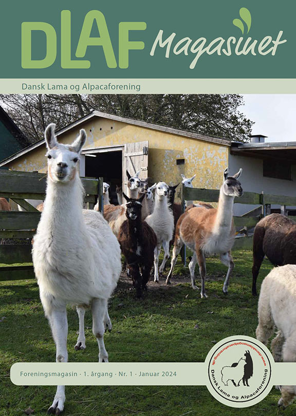 Forside-nr_1_2024